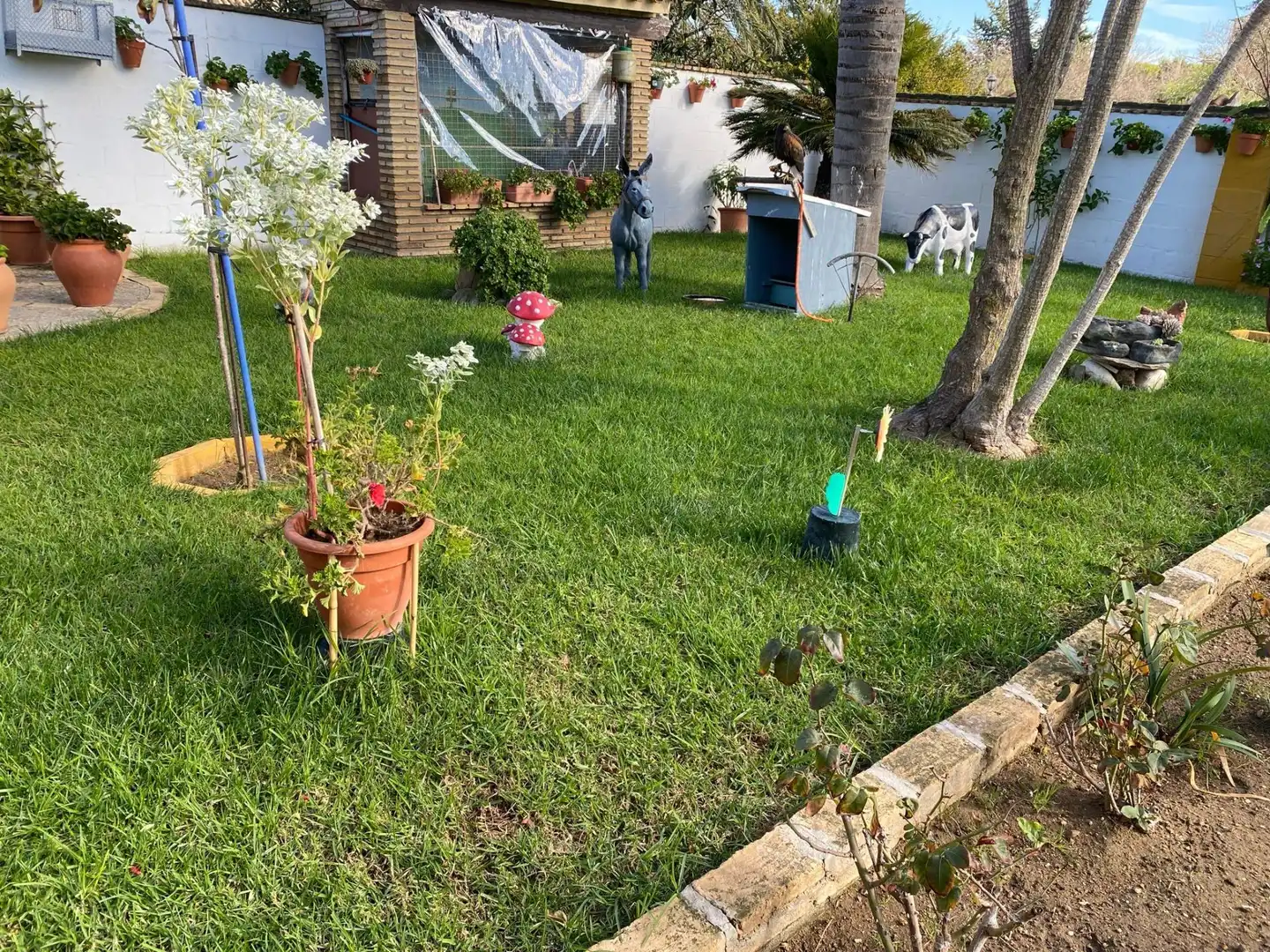 Chalet en venta en Los Franceses – La Vega, imagen 40