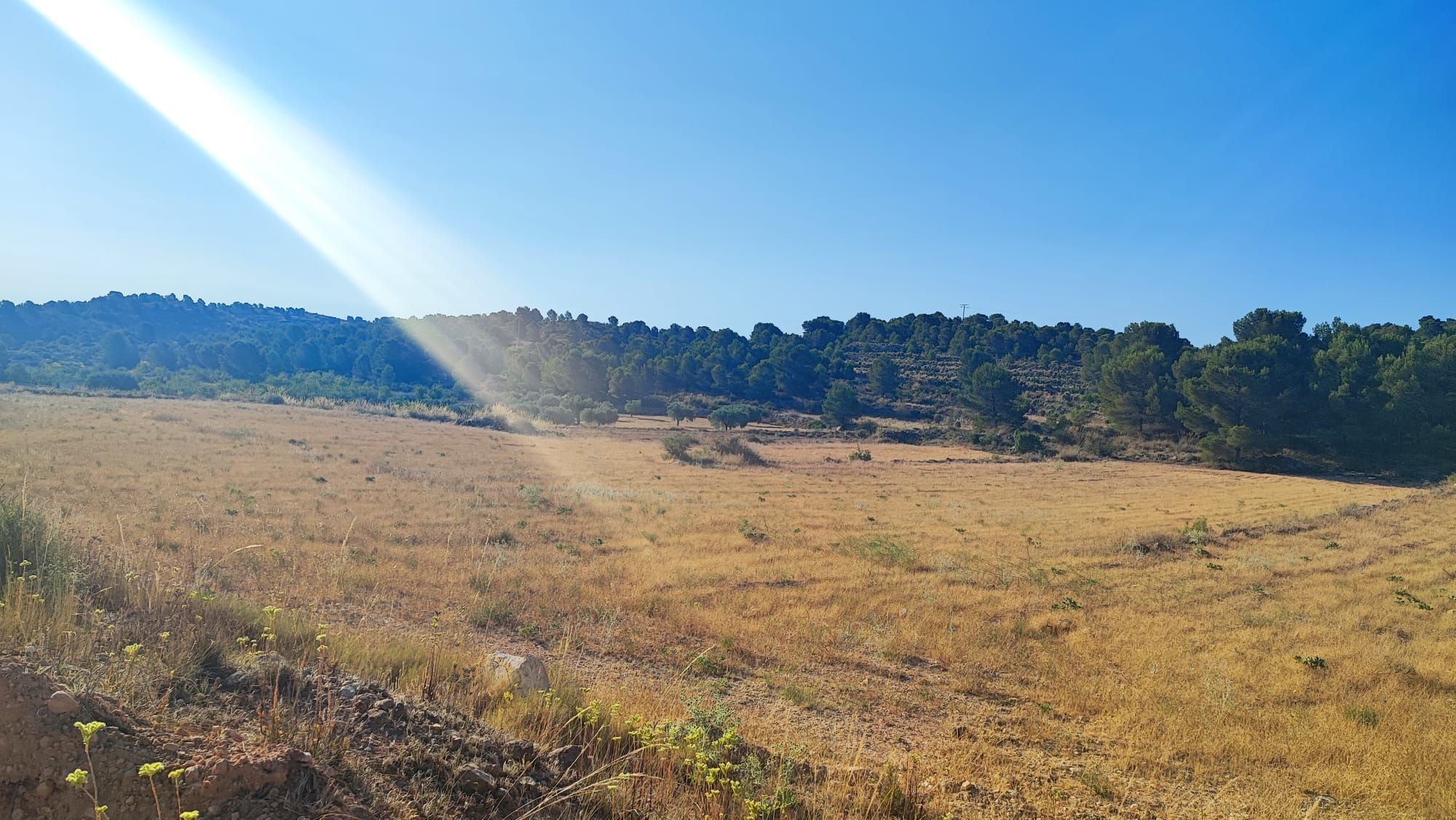Terreny de lloguer a Partida Penyetes, 37, Monóvar  / Monòver