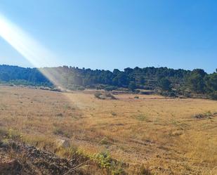 Land to rent in Partida Penyetes, 37, Monóvar  / Monòver