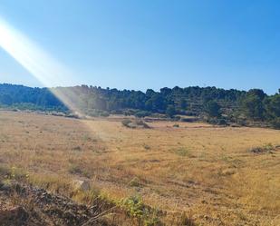 Terreny de lloguer en Monóvar  / Monòver