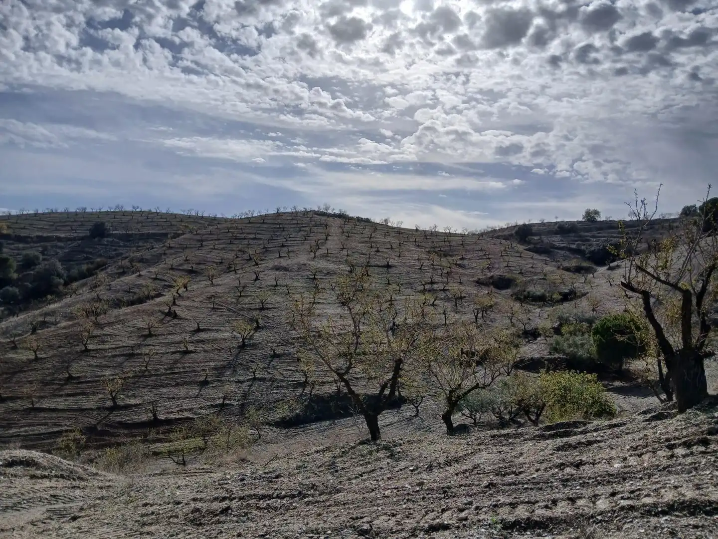 Terrenys i solars en venda a Puerto Lumbreras, imagen 16