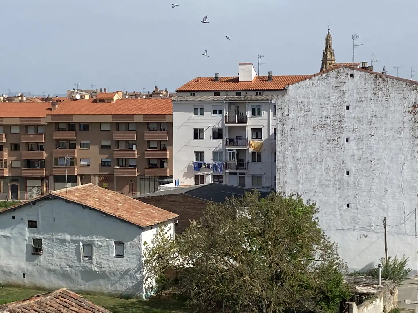 Altres amb ascensor en venda a Santo Domingo de la Calzada - CL SAN JERONIMO HERMOSILLA, imagen 50