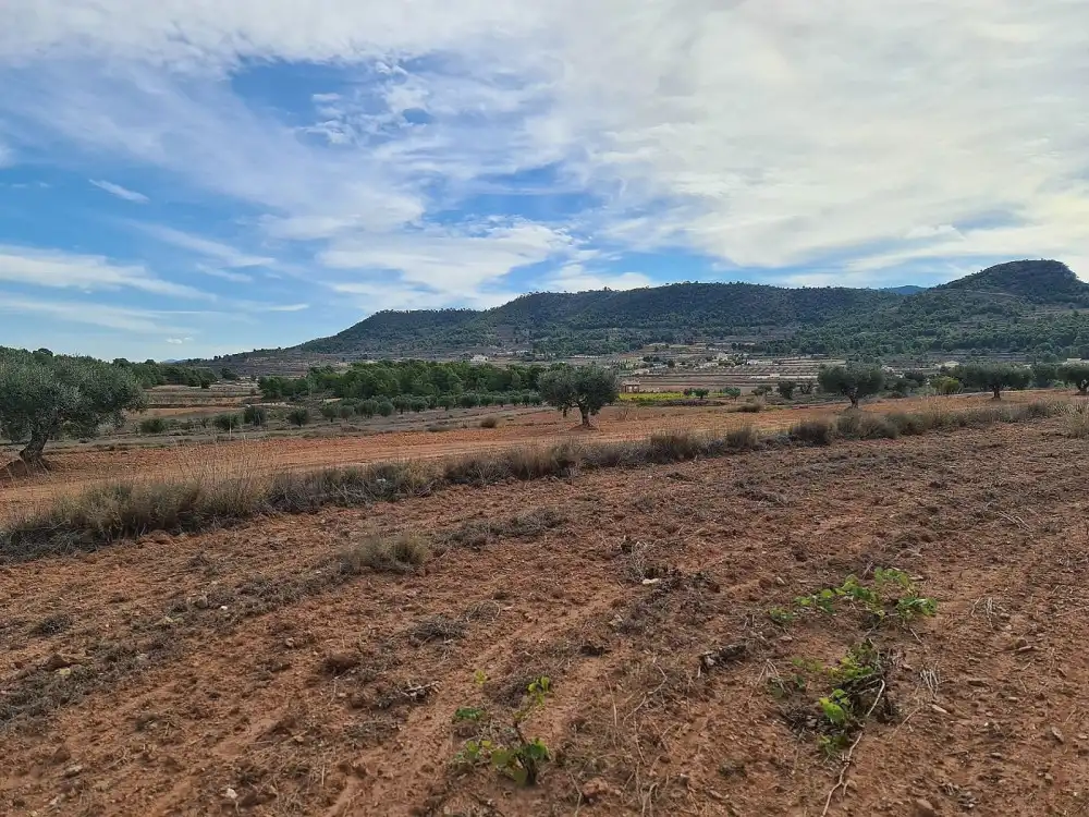 Terreno residencial en venta en El Pinós / Pinoso, imagen 4