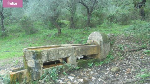 Foto 5 de Finca rústica en venta en Santiago - Coronación, Jerez de la Frontera