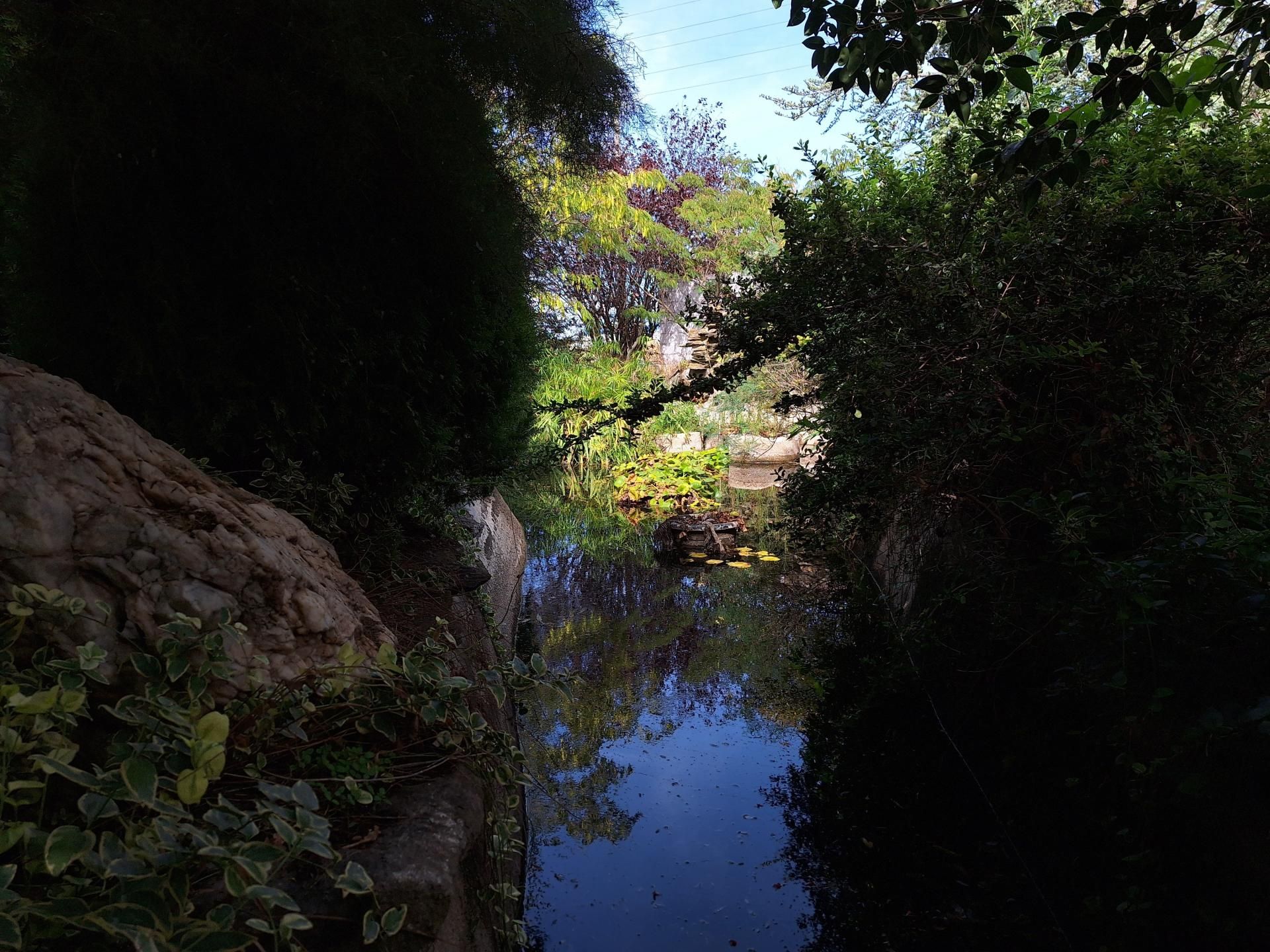 Garden of Country house for sale in Peñaranda de Bracamonte