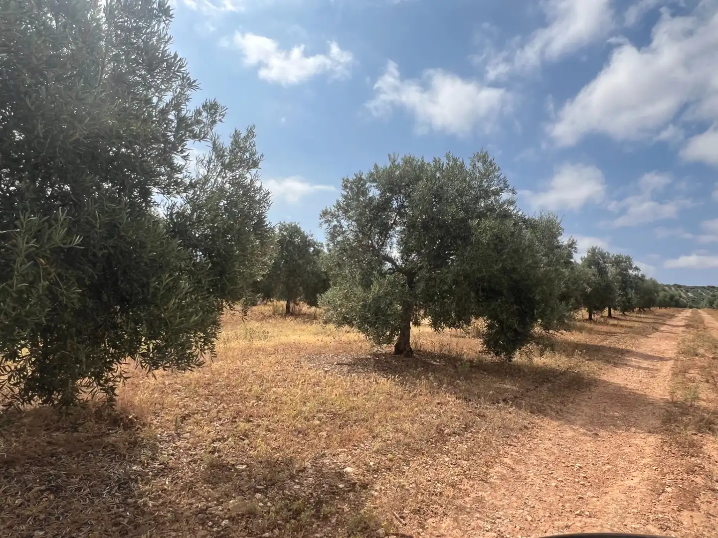 Terreno en venta en Estepa