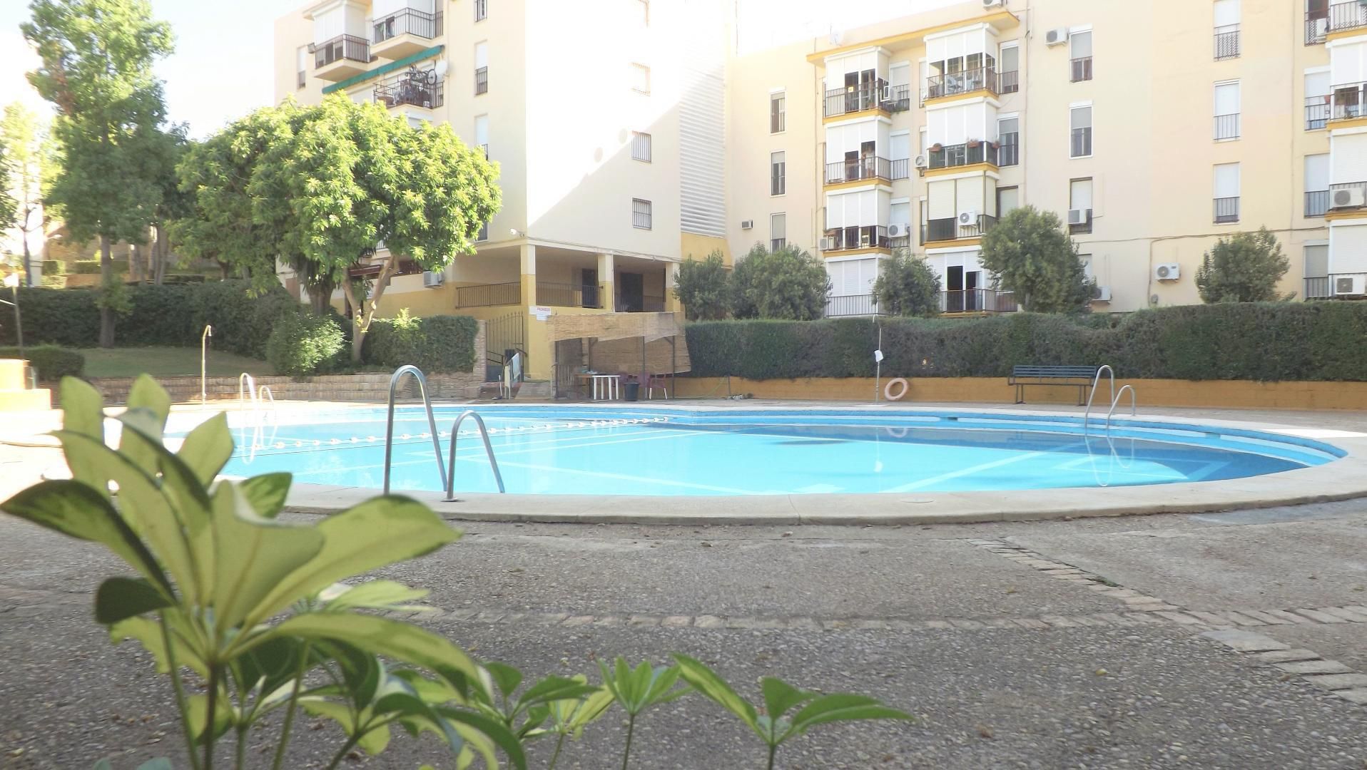 Piscina de Pis en venda en Alcalá de Guadaira amb Terrassa i Piscina
