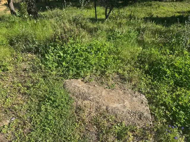Residential land for sale in Ferrers, imagen 11