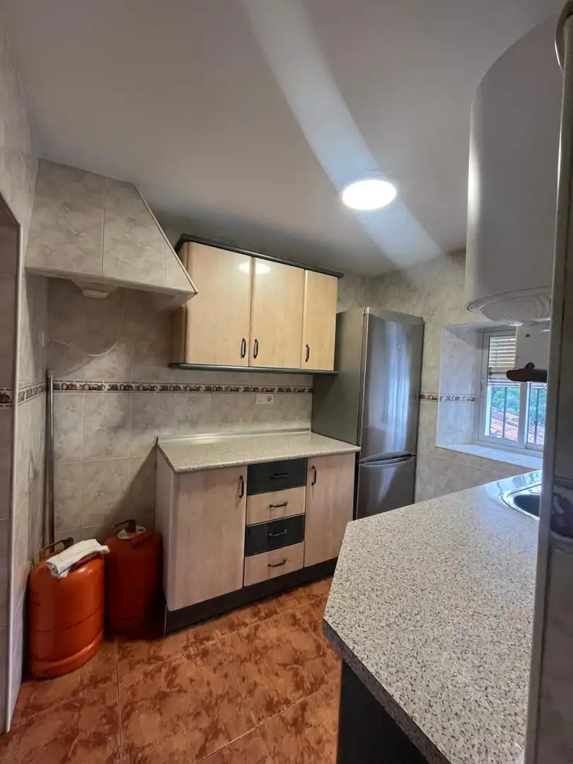 Cocina de Finca rústica en venta en Canillas de Aceituno con Terraza