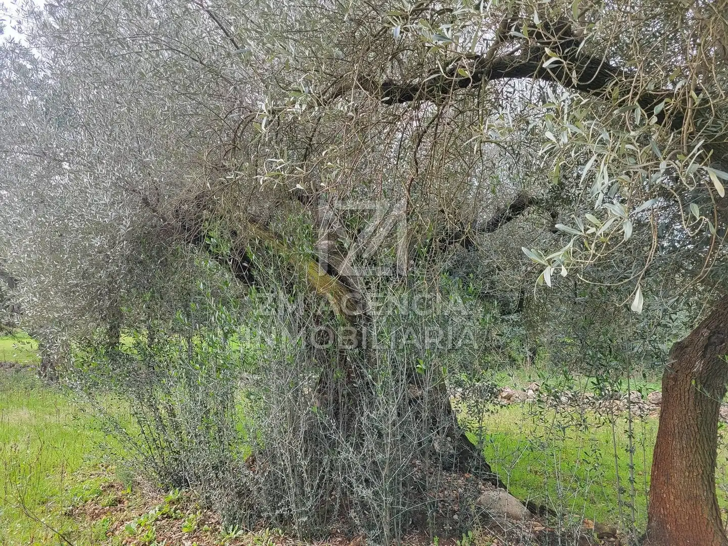 Terreno rustico in vendita a Cabanes, imagen 19