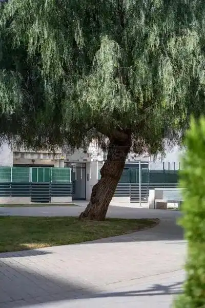 Vista exterior de Piso en venta en Alfara del Patriarca con Aire acondicionado, Calefacción y Parquet