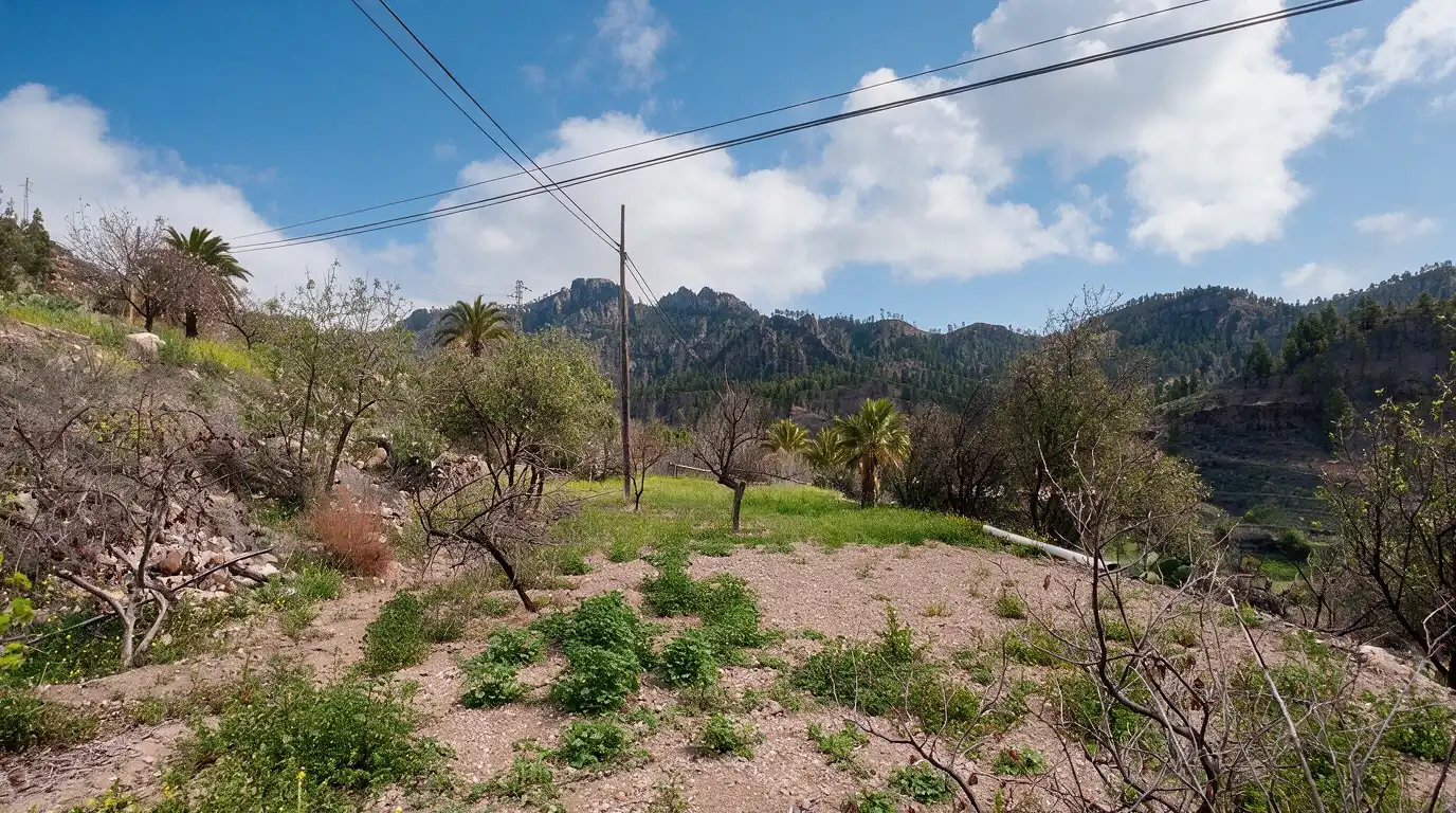 Finca rústica en venda en San Bartolomé de Tirajana amb Jardí privat