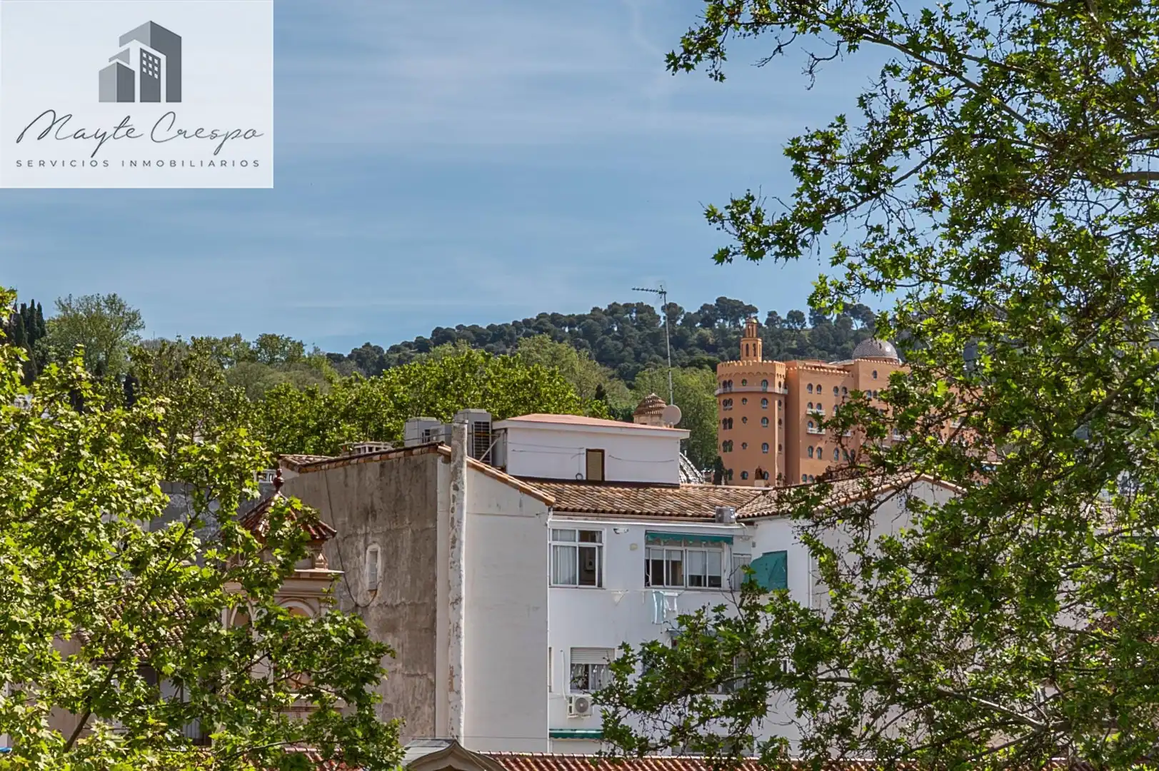 Piso con ascensor en venta en Calle Calle Acera del Darro 1, imagen 25