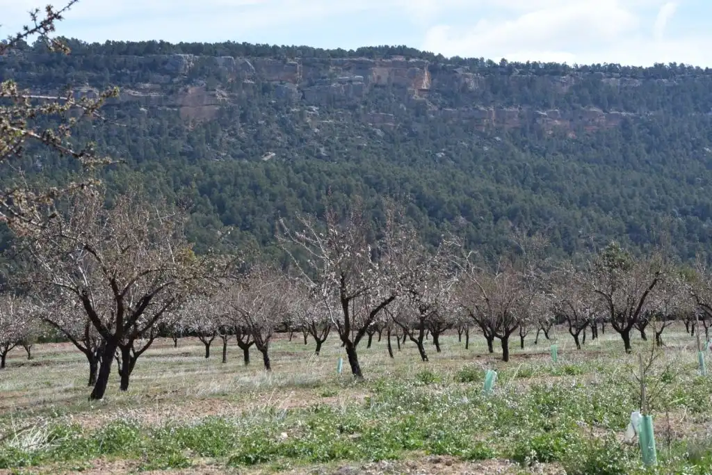 Terreni e lotti in vendita a Fuentespalda, imagen 10
