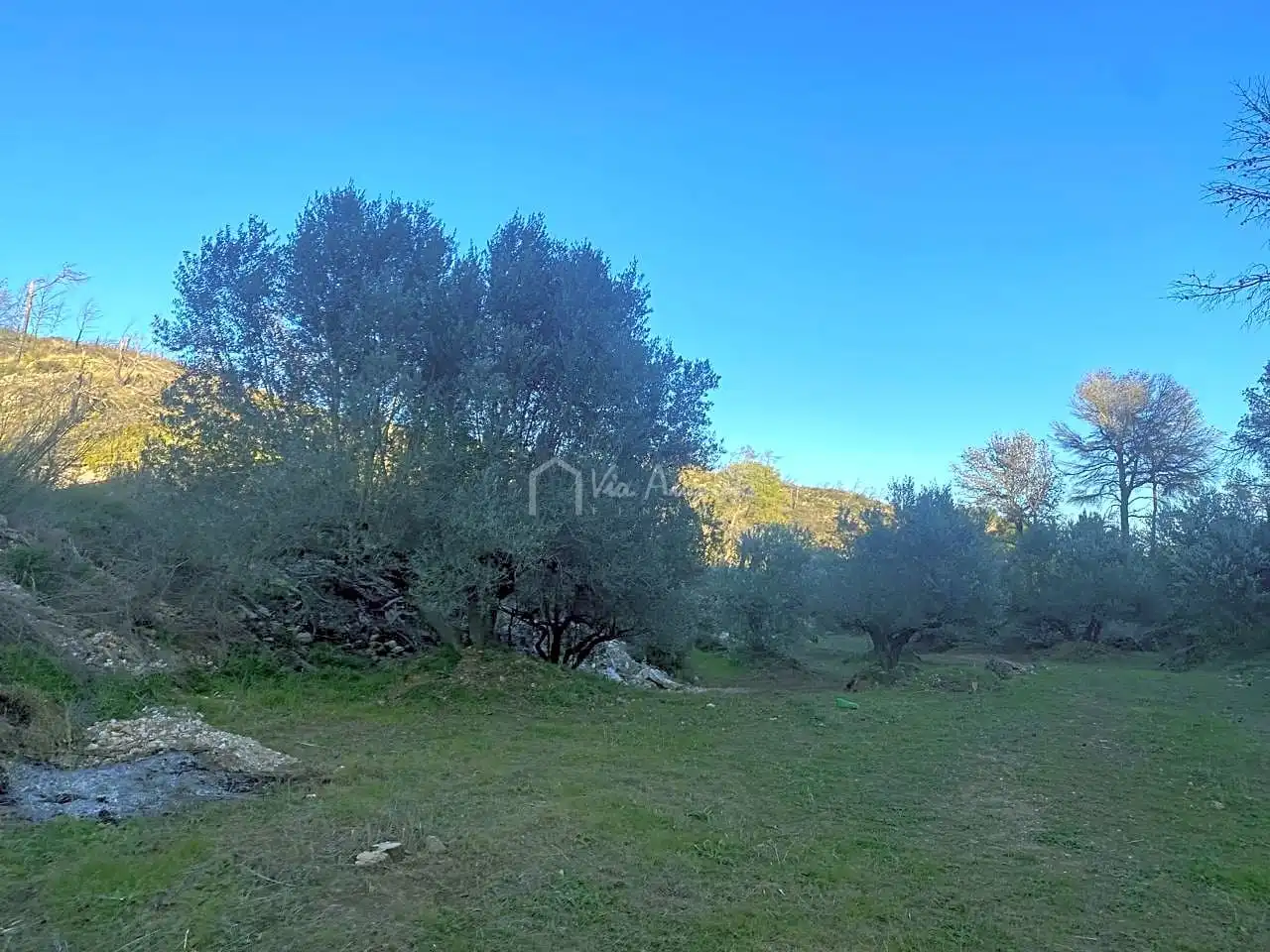 Terreno rustico in vendita a Perchels, imagen 12