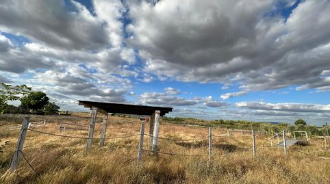 Foto 2 de Terreno en venta en Villanueva de la Serena, Badajoz