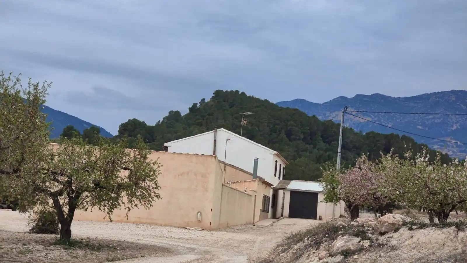 Vista exterior de Casa o xalet en venda en Mula amb Terrassa