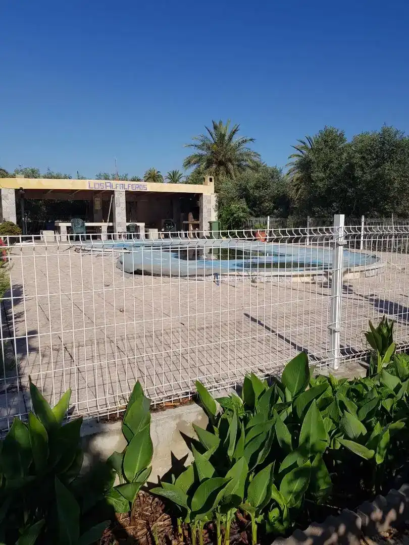 Piscina de Casa o xalet en venda en Elche / Elx amb Aire condicionat i Piscina