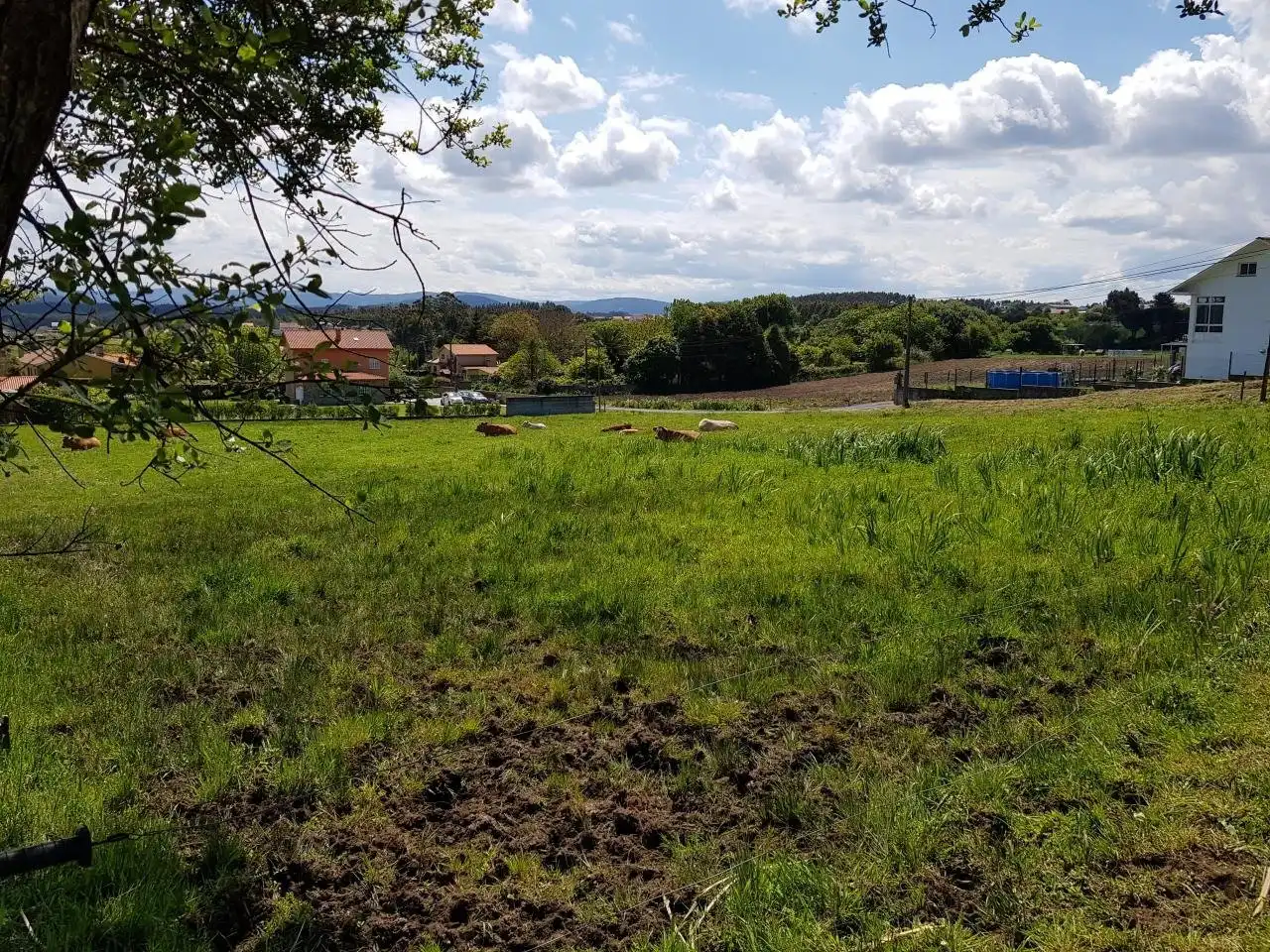 Terrenys i solars en venda a Lugar Montefaro