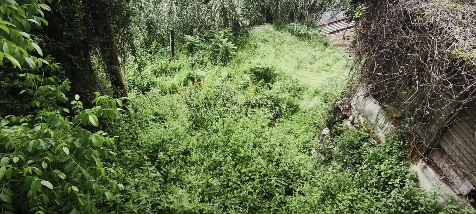 Casa o xalet en venda en Padrenda amb Jardí privat