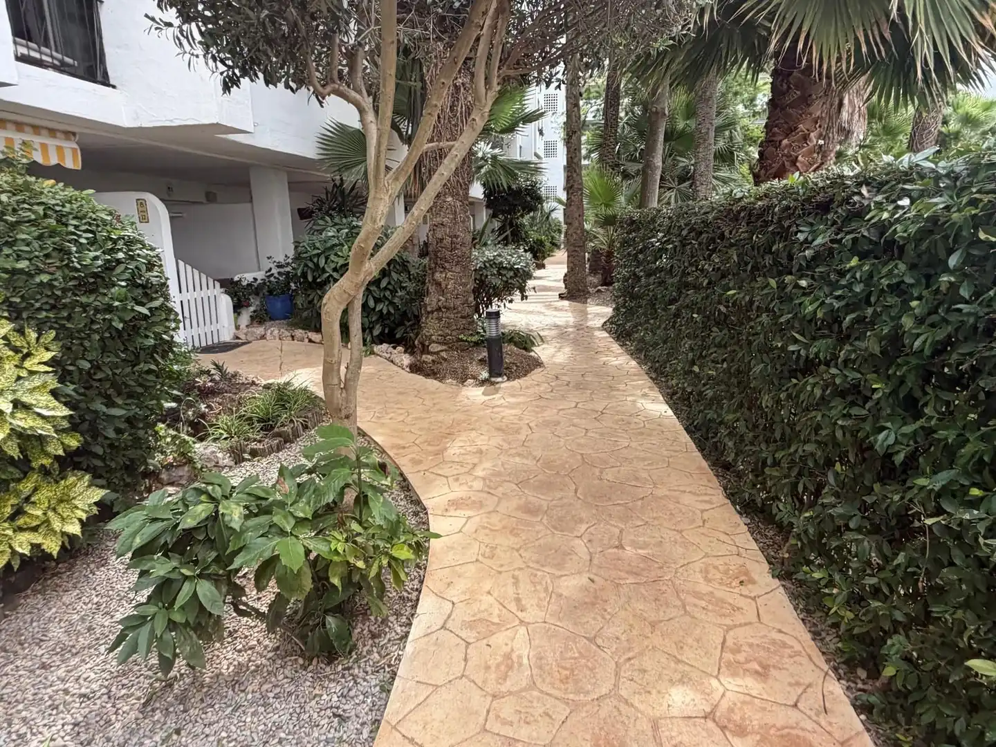 Appartement compact avec piscine à vendre à PORT JOAN 2, imagen 21