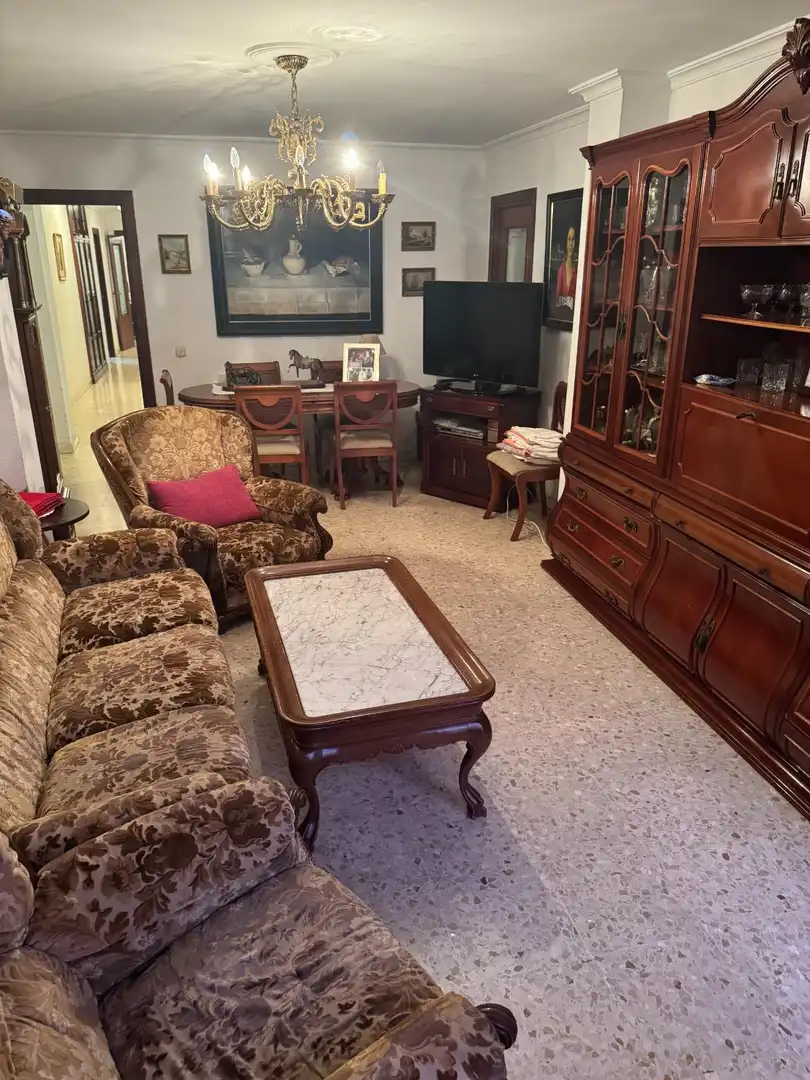Living room of Flat for sale in Sevilla  with Air Conditioner and Furnished