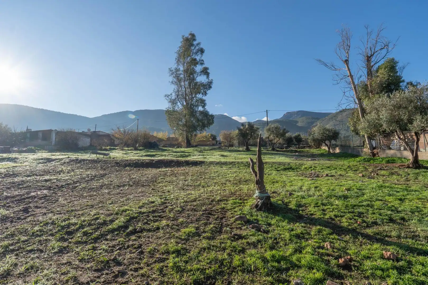 Rural land for sale in Órgiva, imagen 19