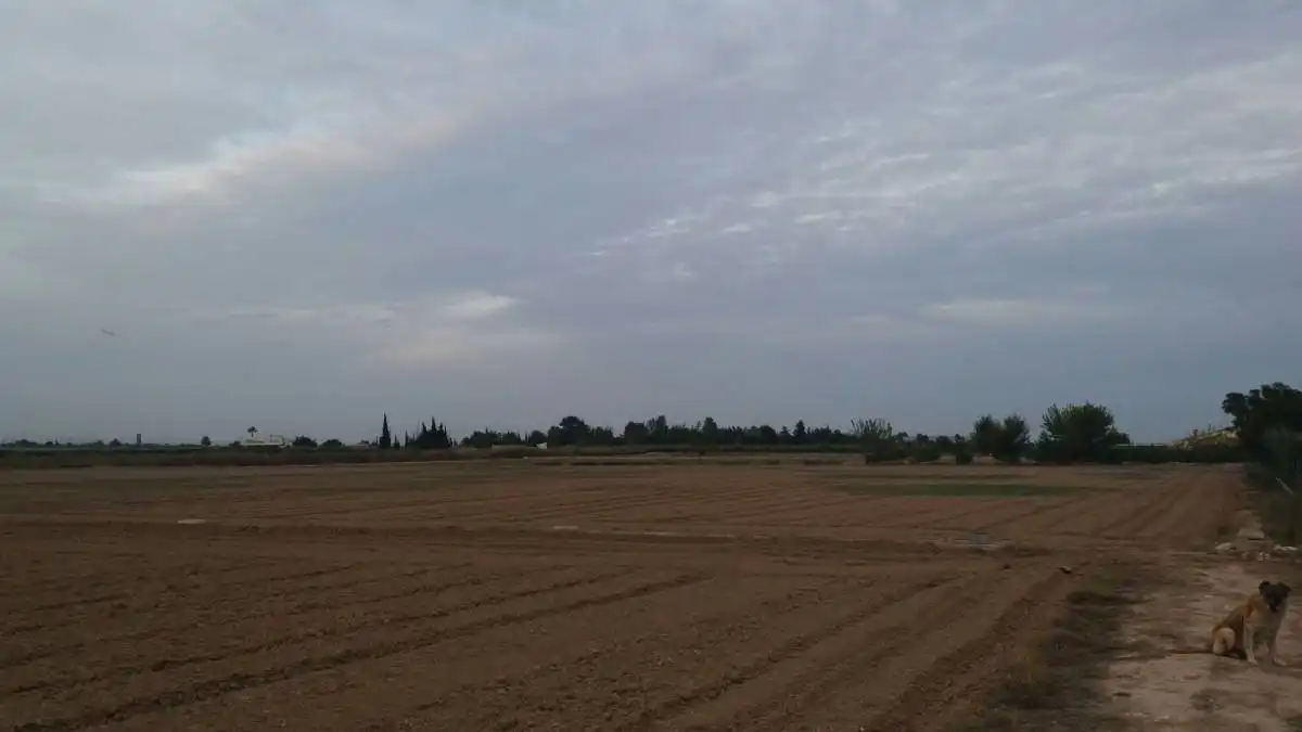 Terreni e lotti in vendita a Partida Santa Agueda, imagen 21