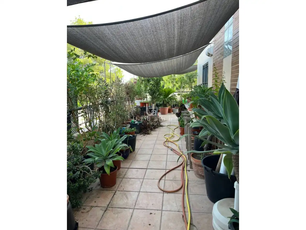 Garden of Houses for sale in Molina de Segura  with Terrace