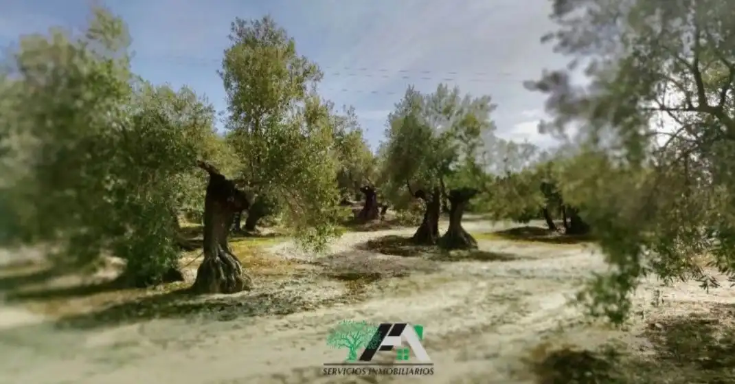 Terrenos y solares en venta en Úbeda, imagen 6