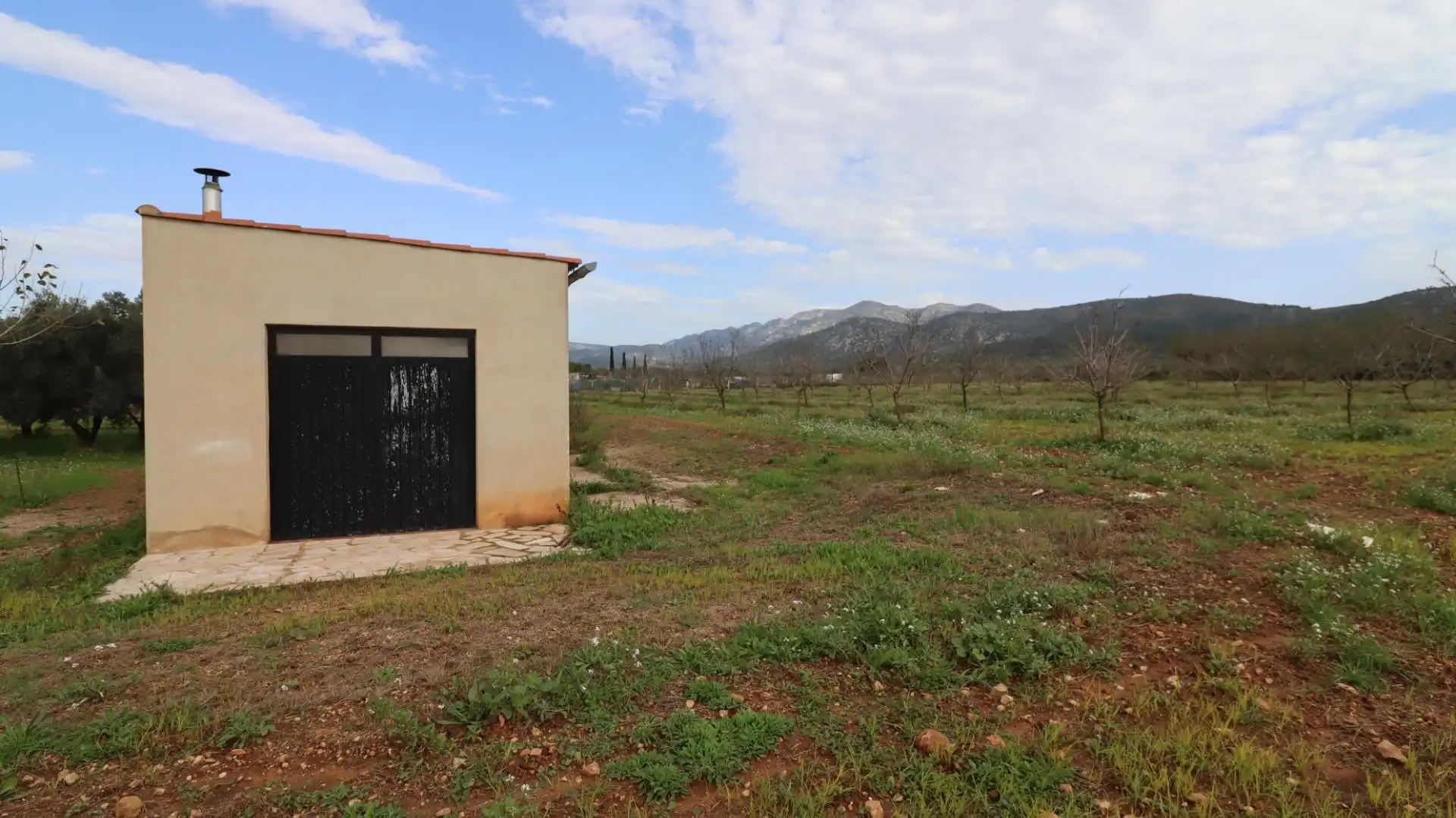 Terreny rústic en venda a Ulldecona, imagen 6