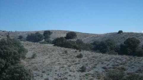 VELEZ-RUBIO (Almería). Paraje "Campillo-Lizarán"., immagine 2