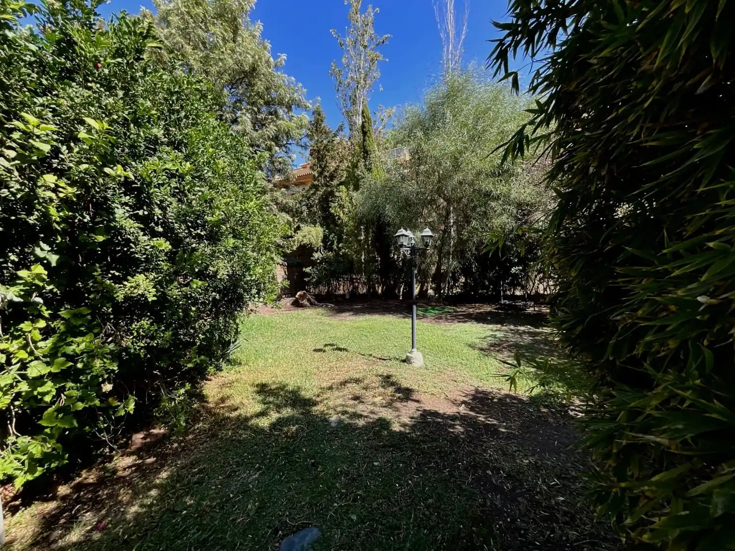 Haus mit Pool zum Verkauf in LEONI BENABÚ, imagen 7