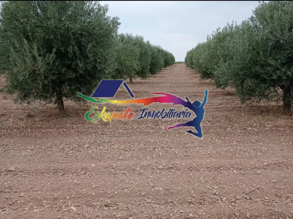 Terrenys i solars en venda a Villacañas, imagen 6