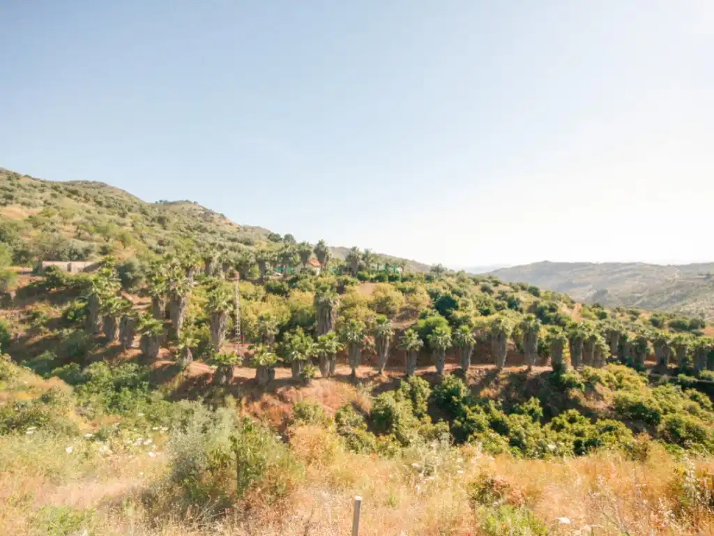 Houses for sale in Monda