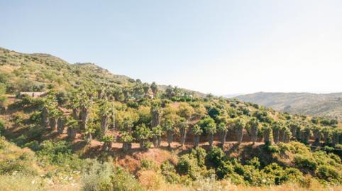 Foto 2 de Casa o xalet en venda a N/a, Monda, Málaga