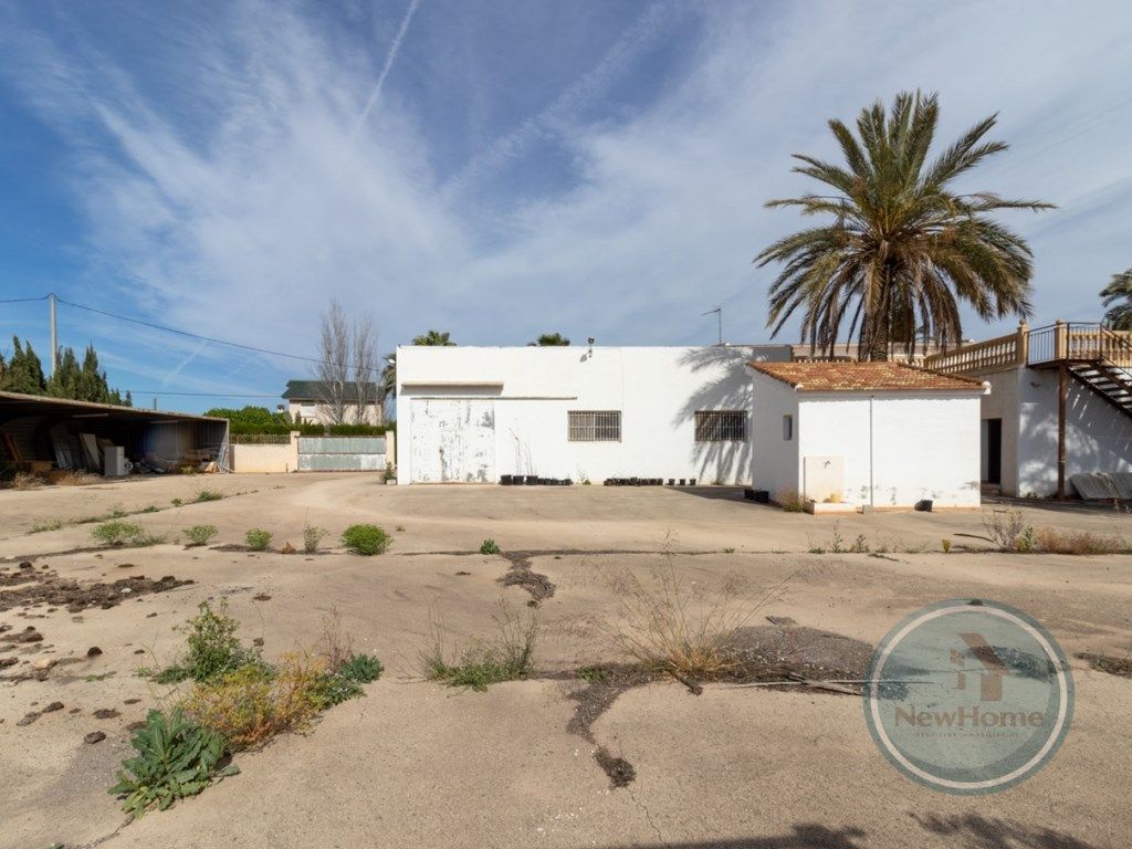 Exterior view of House or chalet for sale in Elche / Elx