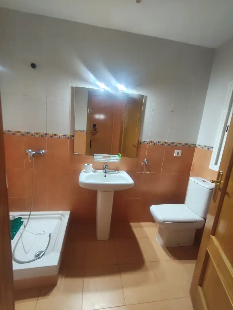 Bathroom of Detached homes for sale in Alcabón  with Heating, Private garden and Storage room