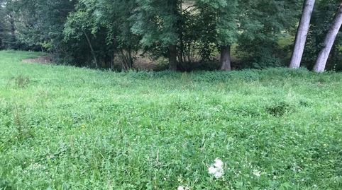Venta de finca LLANA, edificable, a 10 minutos de Cangas de Onís, imagen 2