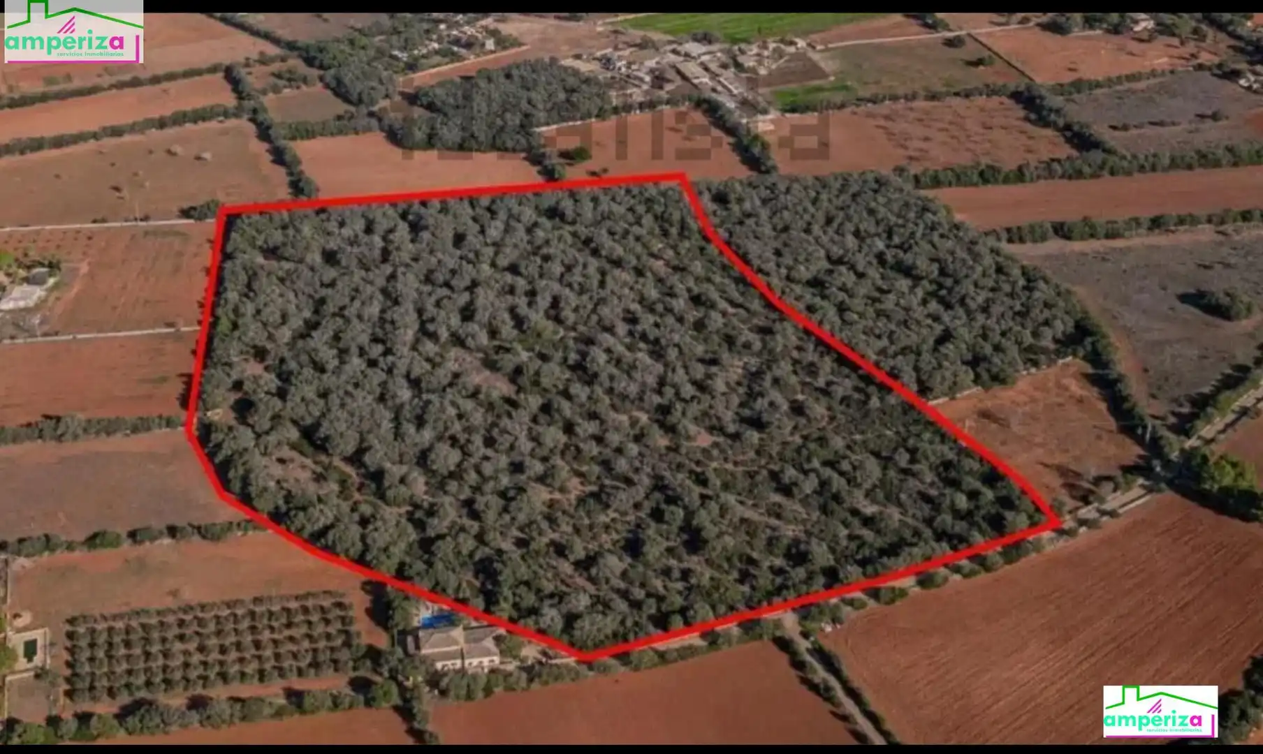 Rural land for sale in Felanitx Poble, imagen 3