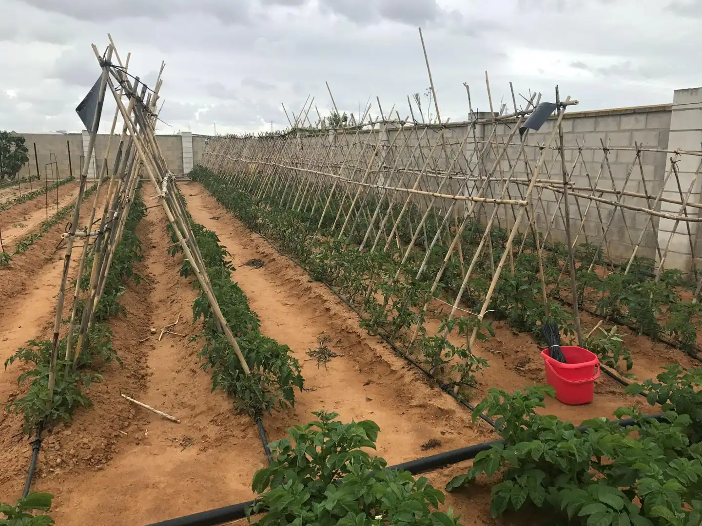 Terreny en venda en Chipiona Norte