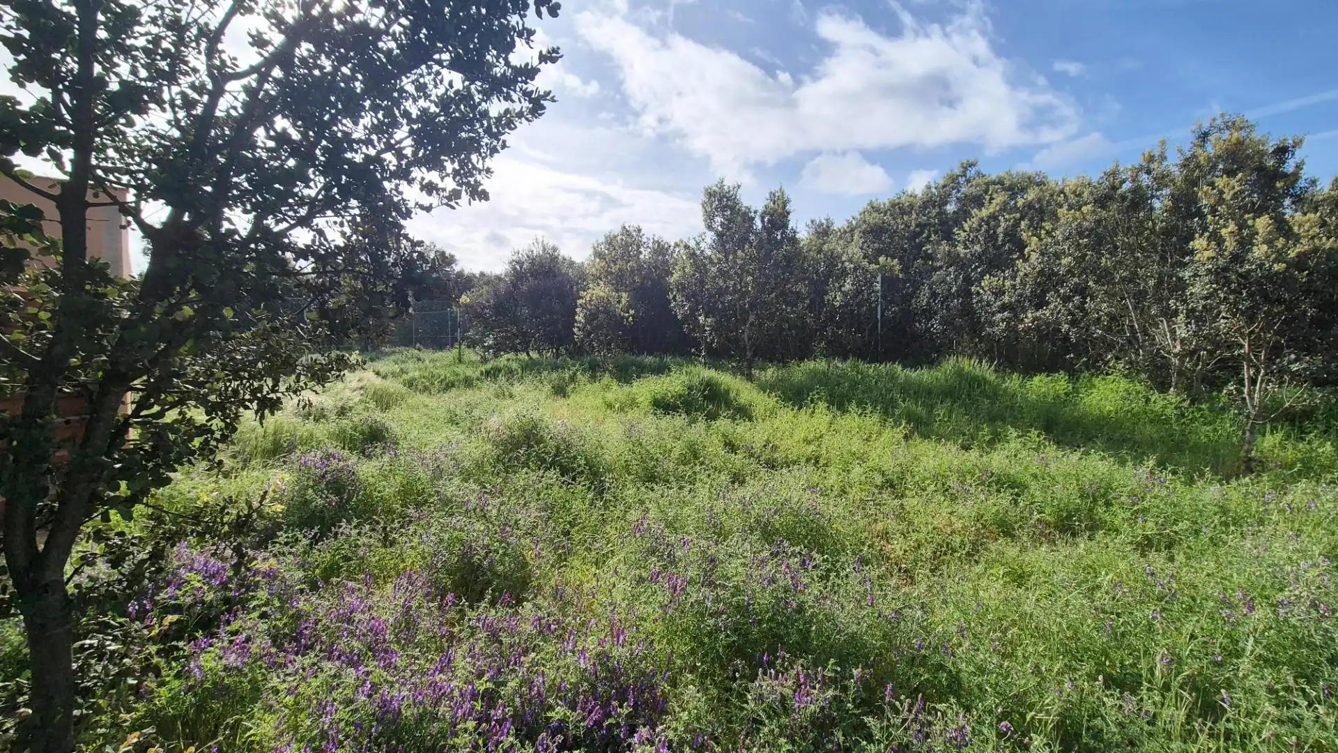 Detached homes for sale in Carrascal de Barregas