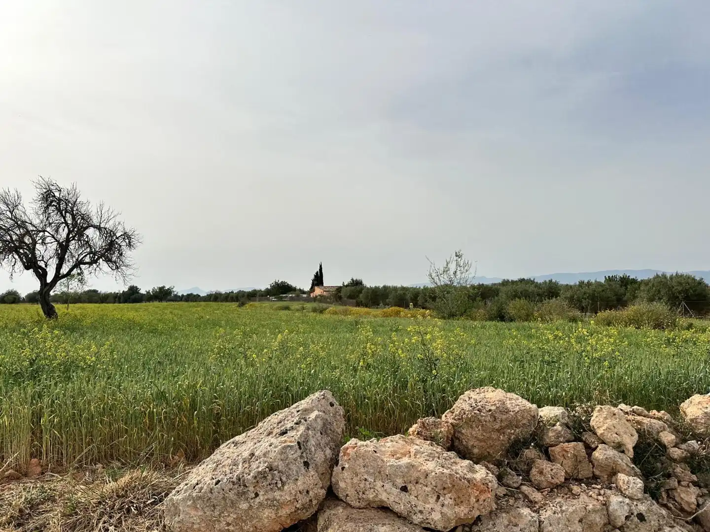Country homes for sale in Algaida  with Private garden
