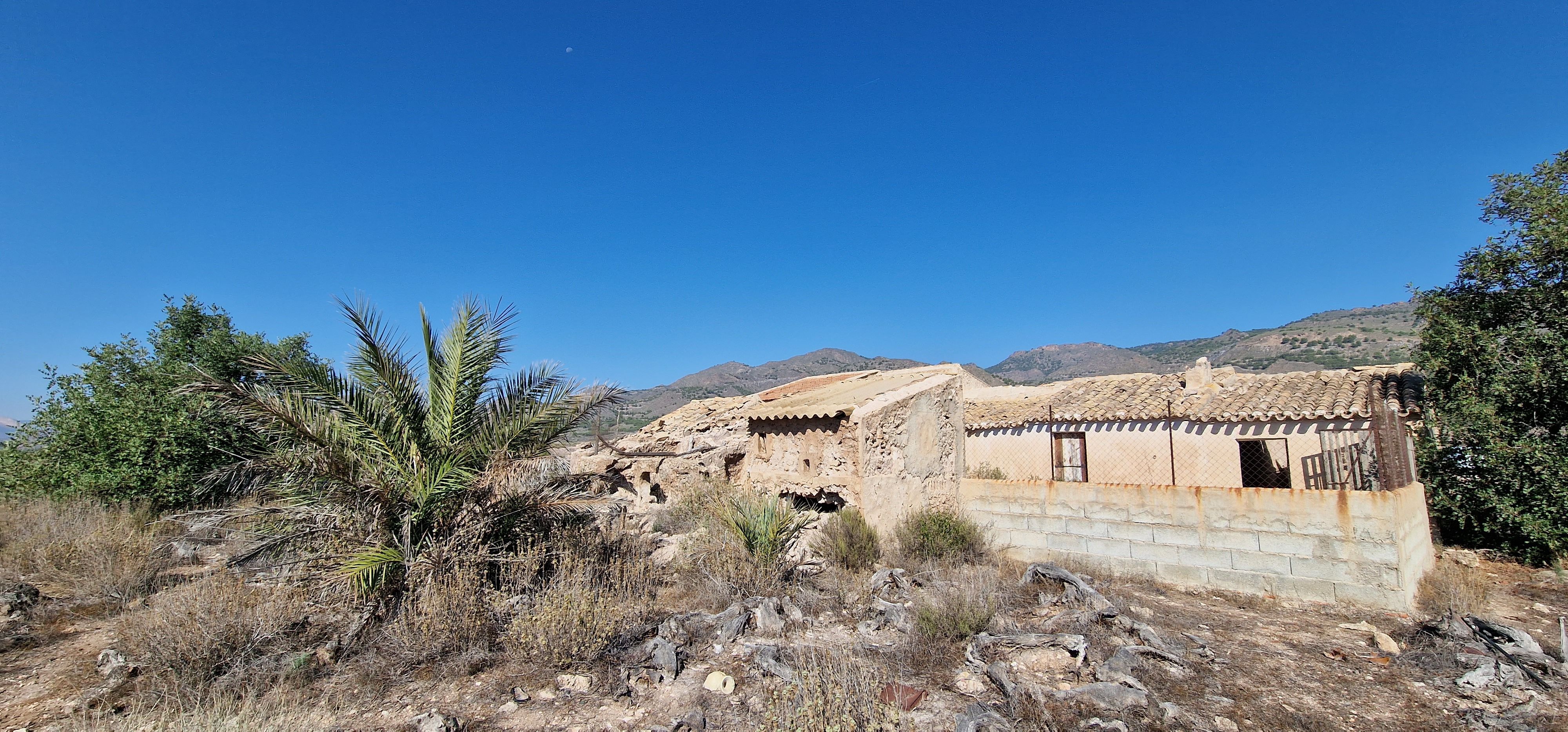Vista exterior de Finca rústica en venda en Lorca amb Jardí privat