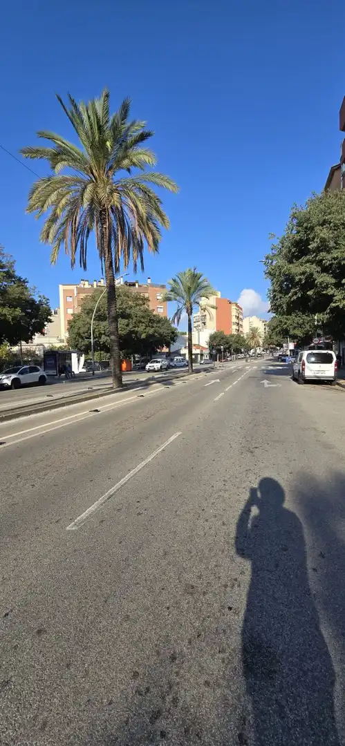 Terrenos y solares en venta en Calle Doctor Ferran, imagen 8