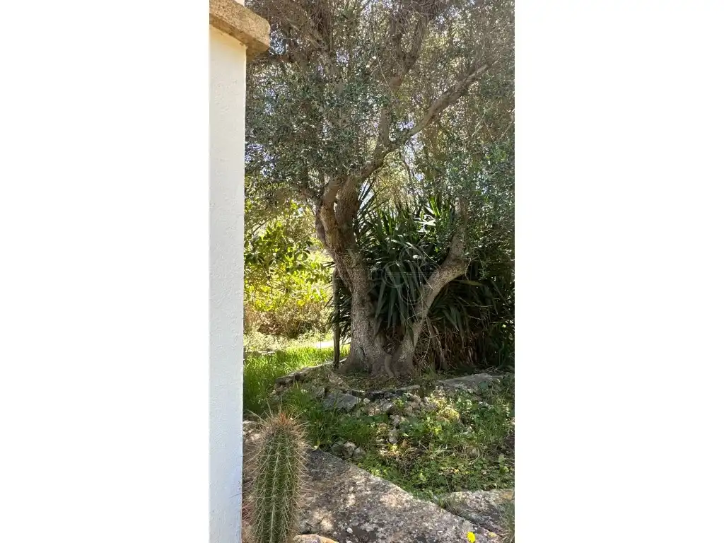 Casa rústica con jardín en venta en Cala d'en Bosch - Serpentona, imagen 32