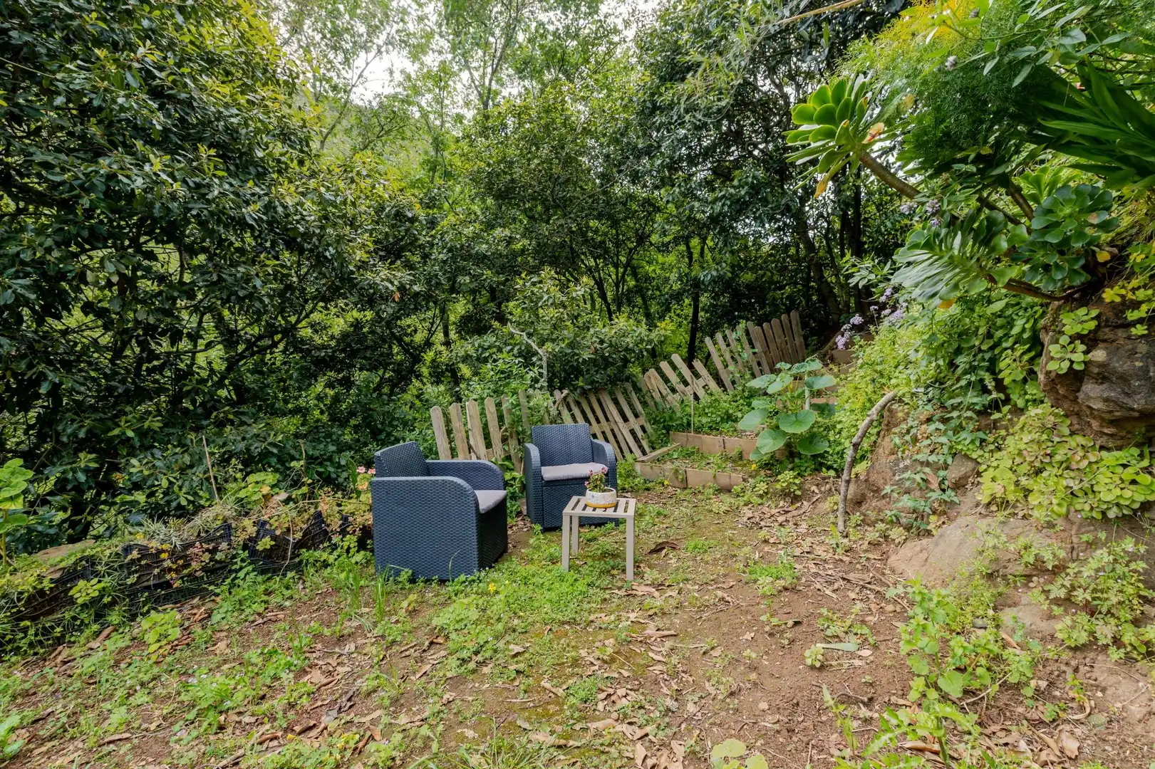 Garden of Land for sale in Teror