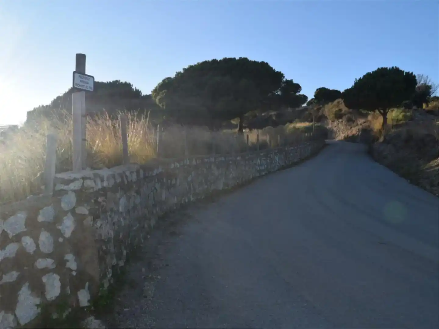 Vista exterior de Casa o chalet en venta en Alella