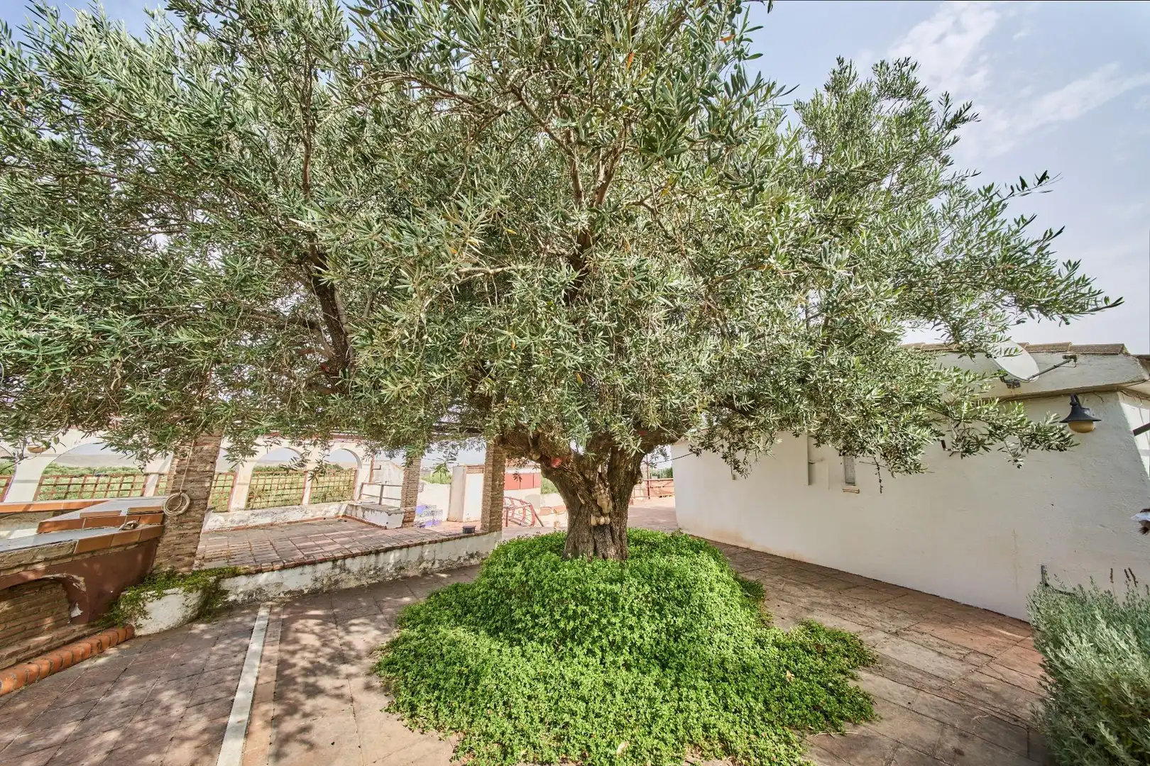 Jardín de Finca rústica en venta en Villa de Otura con Jardín privado, Terraza y Piscina