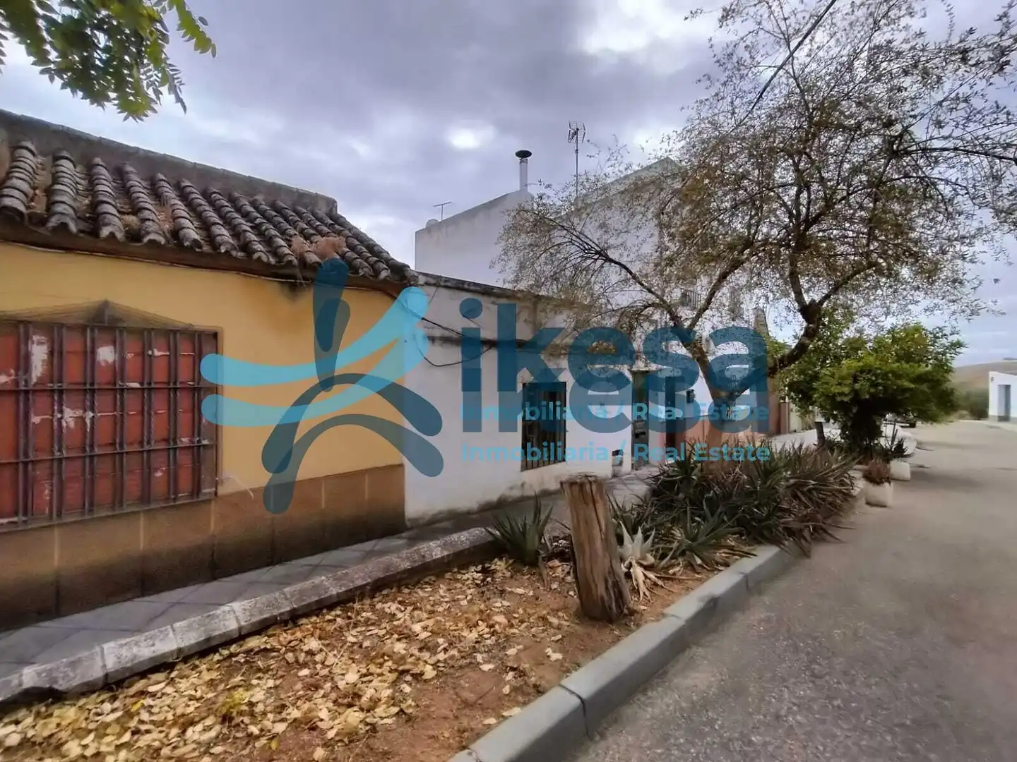 Exterior view of Houses for sale in Córdoba  with Private garden